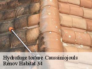 Hydrofuge toiture  caussiniojouls-34600 Rénov Habitat 34 