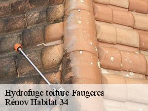 Hydrofuge toiture  faugeres-34600 Rénov Habitat 34 