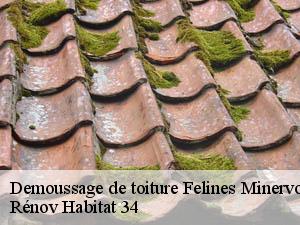 Demoussage de toiture  felines-minervois-34210 Rénov Habitat 34 