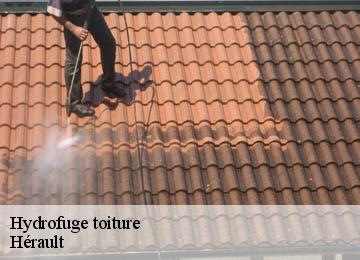 Hydrofuge toiture Hérault