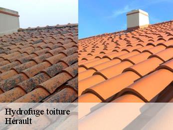 Hydrofuge toiture Hérault