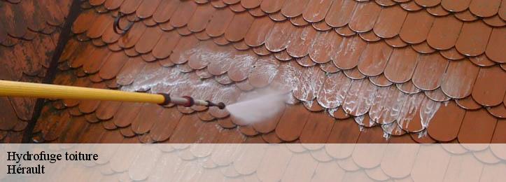 Hydrofuge toiture Hérault