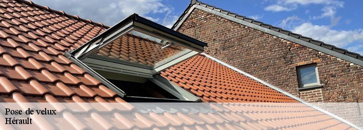 Pose de velux Hérault 