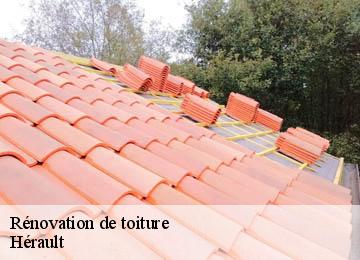 Rénovation de toiture Hérault