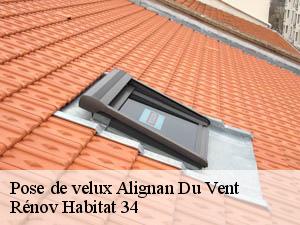 Pose de velux  alignan-du-vent-34290 Rénov Habitat 34 