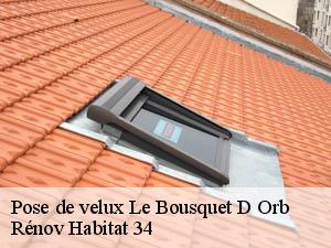 Pose de velux  le-bousquet-d-orb-34260 Rénov Habitat 34 