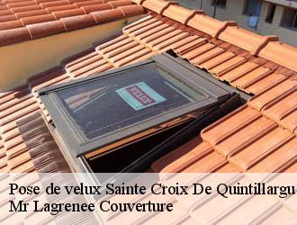 Pose de velux  sainte-croix-de-quintillargu-34270 Mr Lagrenee Couverture