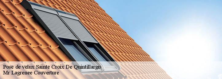 Pose de velux  34270