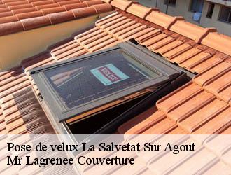 Pose de velux  la-salvetat-sur-agout-34330 Mr Lagrenee Couverture