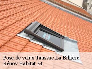 Pose de velux  taussac-la-billiere-34600 Rénov Habitat 34 