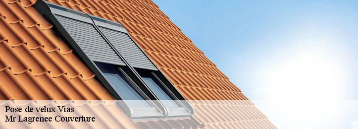 Pose de velux  34450