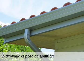 Nettoyage et pose de gouttière