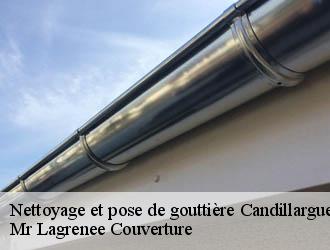 Nettoyage et pose de gouttière candillargues-34130 Mr Lagrenee Couverture