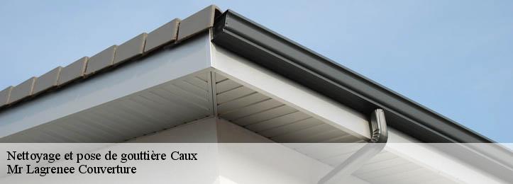 Nettoyage et pose de gouttière 34720