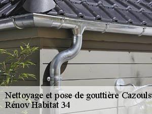 Nettoyage et pose de gouttière cazouls-les-beziers-34370 Entreprise Zigler