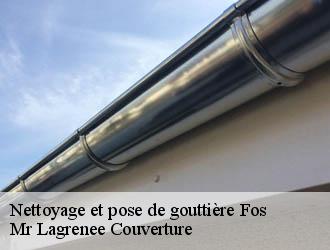 Nettoyage et pose de gouttière  fos-34320 Mr Lagrenee Couverture