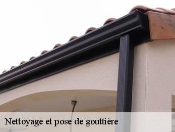 Nettoyage et pose de gouttière