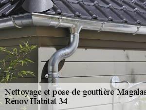 Nettoyage et pose de gouttière magalas-34480 Entreprise Zigler