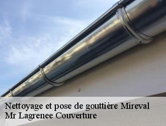 Nettoyage et pose de gouttière  mireval-34110 Mr Lagrenee Couverture