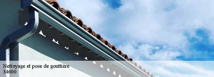 Nettoyage et pose de gouttière  34600