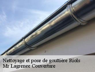 Nettoyage et pose de gouttière riols-34220 Mr Lagrenee Couverture