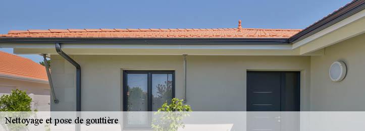 Nettoyage et pose de gouttière 34270