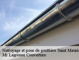 Nettoyage et pose de gouttière saint-maurice-navacelles-34520 Mr Lagrenee Couverture