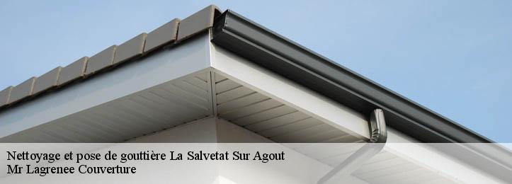 Nettoyage et pose de gouttière 34330