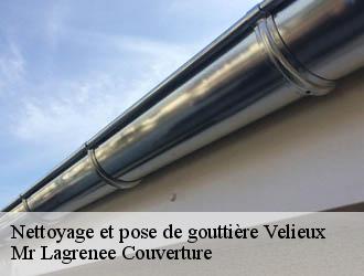 Nettoyage et pose de gouttière  velieux-34220 Mr Lagrenee Couverture