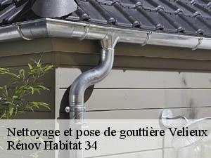 Nettoyage et pose de gouttière velieux-34220 Entreprise Zigler