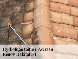 Hydrofuge toiture  adissan-34230 Rénov Habitat 34 
