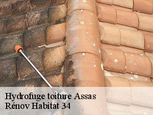 Hydrofuge toiture  assas-34820 Rénov Habitat 34 