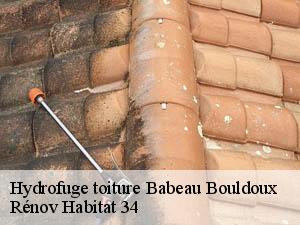Hydrofuge toiture  babeau-bouldoux-34360 Rénov Habitat 34 