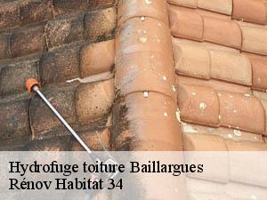 Hydrofuge toiture  baillargues-34670 Rénov Habitat 34 