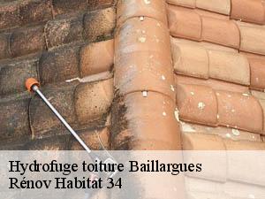 Hydrofuge toiture baillargues-34670 Rénov Habitat 34