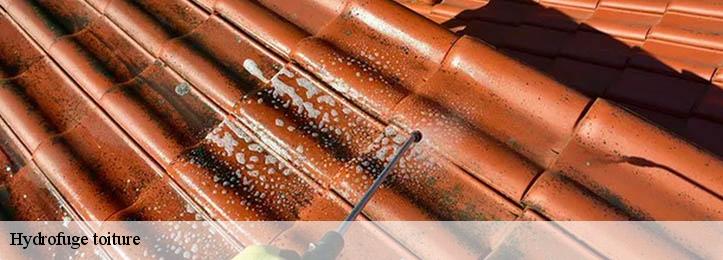 Hydrofuge toiture 34550