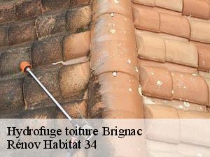 Hydrofuge toiture  brignac-34800 Rénov Habitat 34 