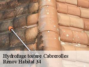Hydrofuge toiture  cabrerolles-34480 Rénov Habitat 34 