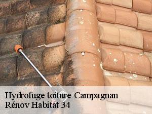 Hydrofuge toiture  campagnan-34230 Rénov Habitat 34 
