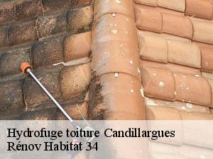 Hydrofuge toiture  candillargues-34130 Rénov Habitat 34 