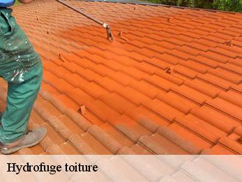 Hydrofuge toiture