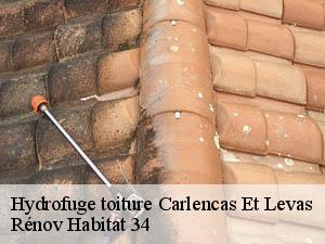 Hydrofuge toiture  carlencas-et-levas-34600 Rénov Habitat 34 
