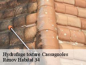Hydrofuge toiture  cassagnoles-34210 Rénov Habitat 34 