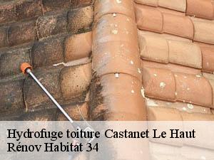 Hydrofuge toiture  castanet-le-haut-34610 Entreprise Zigler