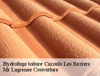 Hydrofuge toiture cazouls-les-beziers-34370 Mr Lagrenee Couverture