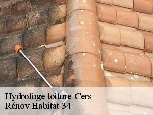 Hydrofuge toiture  cers-34420 Rénov Habitat 34 