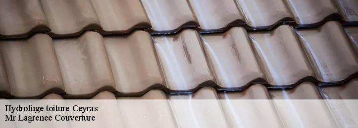 Hydrofuge toiture  34800