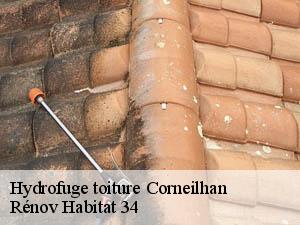 Hydrofuge toiture  corneilhan-34490 Rénov Habitat 34 