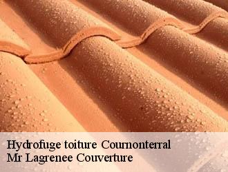 Hydrofuge toiture  cournonterral-34660 Mr Lagrenee Couverture