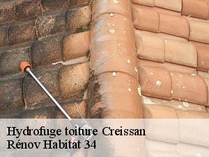 Hydrofuge toiture  creissan-34370 Rénov Habitat 34 